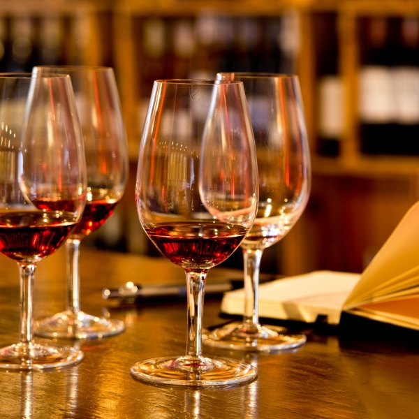 Wine tasting in a cozy cellar